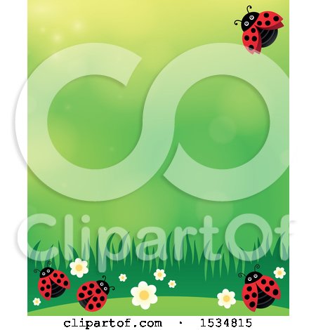 Clipart of a Ladybug Spring Time Background - Royalty Free Vector Illustration by visekart