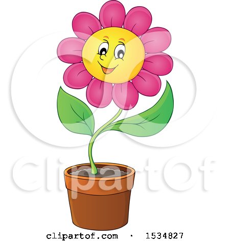 Clipart of a Potted Pink Daisy Flower Character - Royalty Free Vector ...
