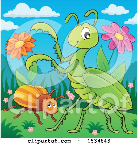 Clipart of a Beetle and a Green Praying Mantis - Royalty Free Vector Illustration by visekart