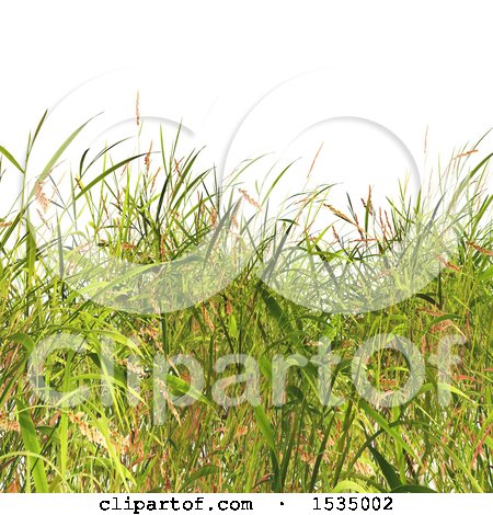 Clipart of a Background of 3d Grass - Royalty Free Illustration by KJ Pargeter
