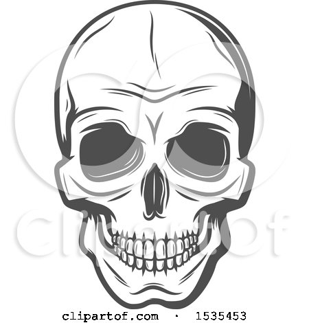 Clipart of a Grayscale Human Skull, in Retro Style - Royalty Free Vector Illustration by Vector Tradition SM