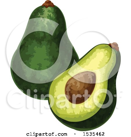 Clipart of a Halved and Whole Avocado - Royalty Free Vector Illustration by Vector Tradition SM