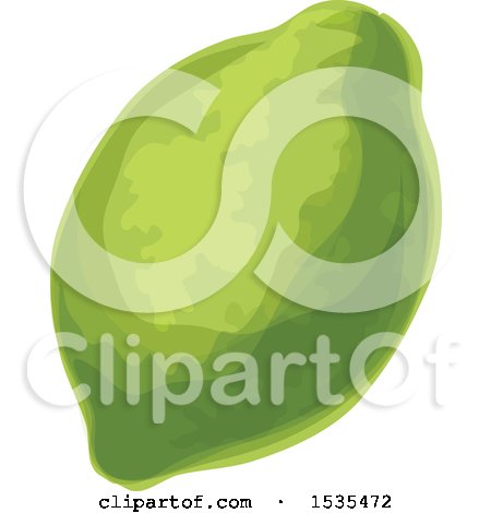 Clipart of a Lime - Royalty Free Vector Illustration by Vector Tradition SM