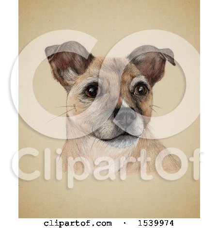 Clipart of a Portrait of a Dog on Sepia - Royalty Free Illustration by Maria Bell