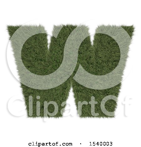 Clipart of a 3d Grassy Capital Letter W on a White Background - Royalty Free Illustration by KJ Pargeter