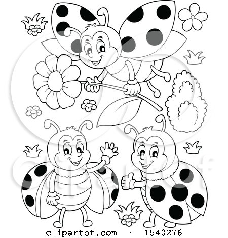 Clipart of Black and White Ladybugs - Royalty Free Vector Illustration by visekart