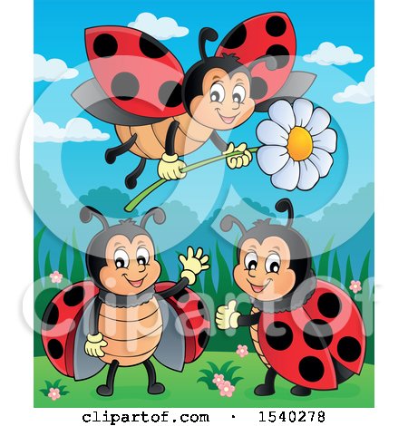 Clipart of Ladybugs - Royalty Free Vector Illustration by visekart