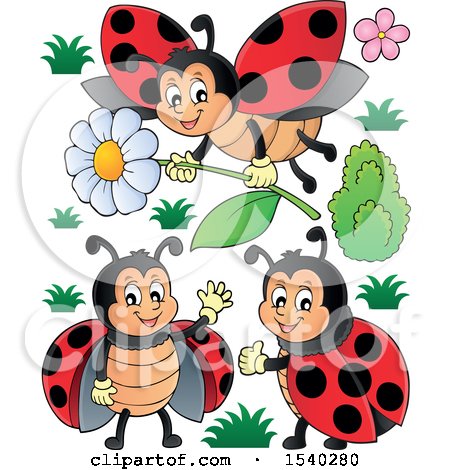 Clipart of Ladybugs - Royalty Free Vector Illustration by visekart