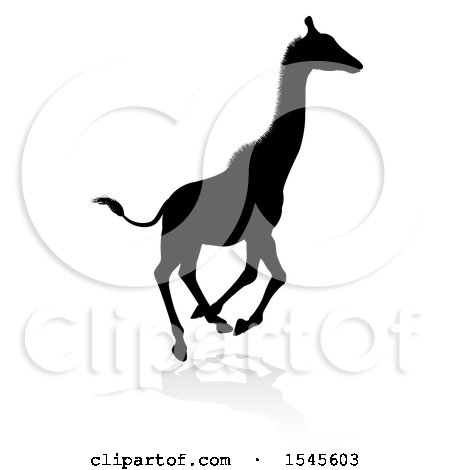 Clipart of a Silhouetted Giraffe Running, with a Reflection or Shadow - Royalty Free Vector Illustration by AtStockIllustration
