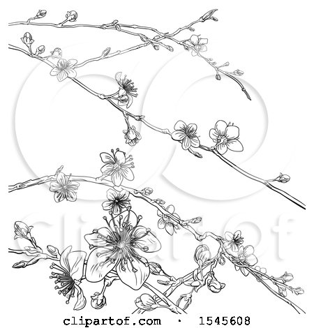 Clipart of a Black and White Background of Branches with Spring Blossoms - Royalty Free Vector Illustration by AtStockIllustration