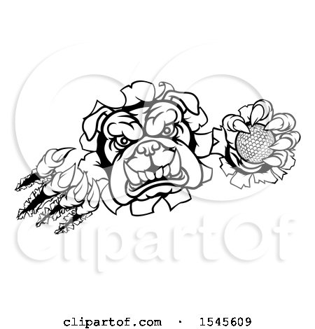 Clipart of a Black and White Bulldog Monster Shredding Through a Wall with a Golf Ball in One Hand - Royalty Free Vector Illustration by AtStockIllustration