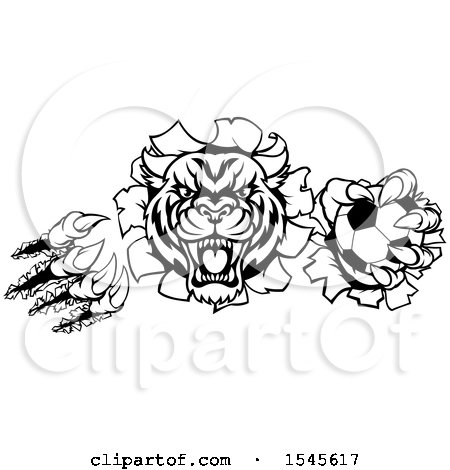Clipart of a Black and White Tiger Shredding Through a Wall with a Soccer Ball in One Hand - Royalty Free Vector Illustration by AtStockIllustration