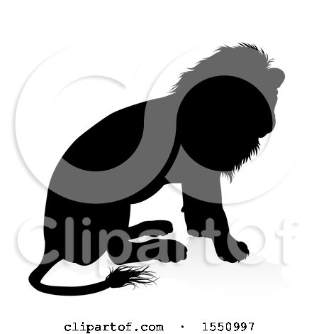 Clipart of a Silhouetted Male Lion Sitting, with a Reflection or Shadow - Royalty Free Vector Illustration by AtStockIllustration