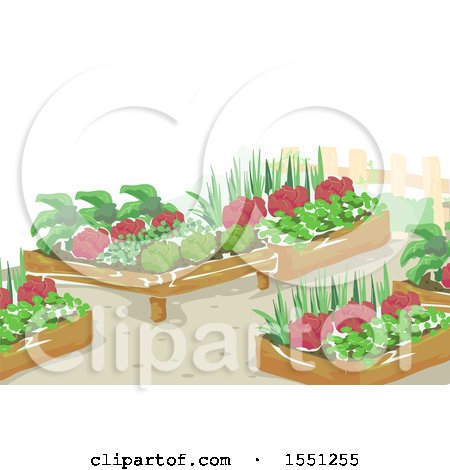 Clipart of Raised Garden Beds - Royalty Free Vector Illustration by BNP Design Studio