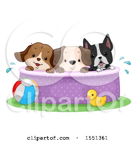 Clipart of a Group of Dogs in a Swimming Pool - Royalty Free Vector Illustration by BNP Design Studio