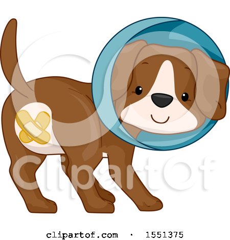 Clipart of a Neutered Puppy Dog with Bandages over His Privates, Wearing a Cone of Shame - Royalty Free Vector Illustration by BNP Design Studio