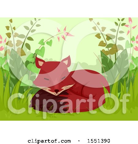 Clipart of a Cute Fox Sleeping in Foliage - Royalty Free Vector Illustration by BNP Design Studio
