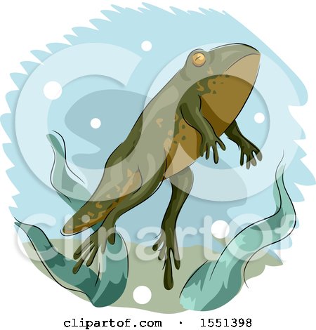 Clipart of a Young Frog Developing Legs - Royalty Free Vector Illustration by BNP Design Studio