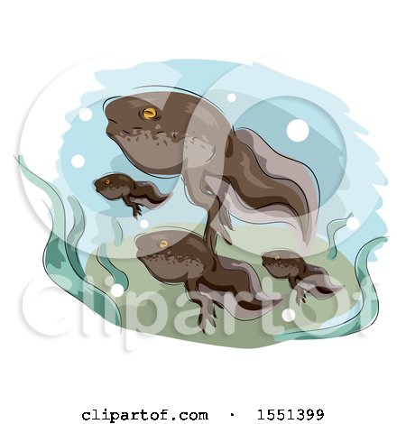 Clipart of a Group of Tadpoles Swimming - Royalty Free Vector Illustration by BNP Design Studio