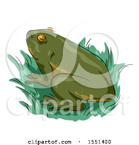 Clipart of a Green Frog - Royalty Free Vector Illustration by BNP Design Studio