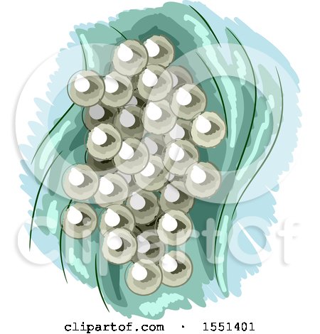Clipart of a Cluster of Frog Eggs - Royalty Free Vector Illustration by BNP Design Studio