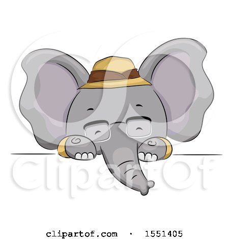 Clipart of a Cute Elephant Explorer over a Sign - Royalty Free Vector Illustration by BNP Design Studio