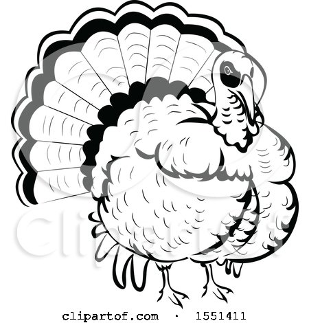 Clipart of a Black and White Turkey Bird - Royalty Free Vector Illustration by BNP Design Studio