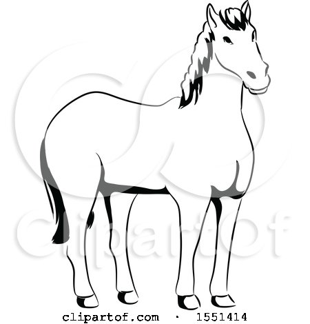 Clipart of a Black and White Horse - Royalty Free Vector Illustration by BNP Design Studio