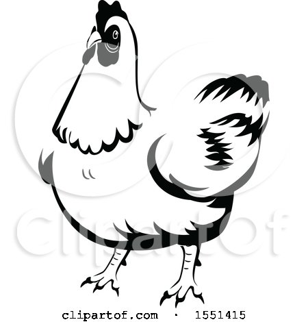Clipart of a Black and White Chicken - Royalty Free Vector Illustration by BNP Design Studio