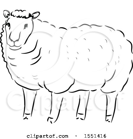 Clipart of a Black and White Sheep - Royalty Free Vector Illustration by BNP Design Studio