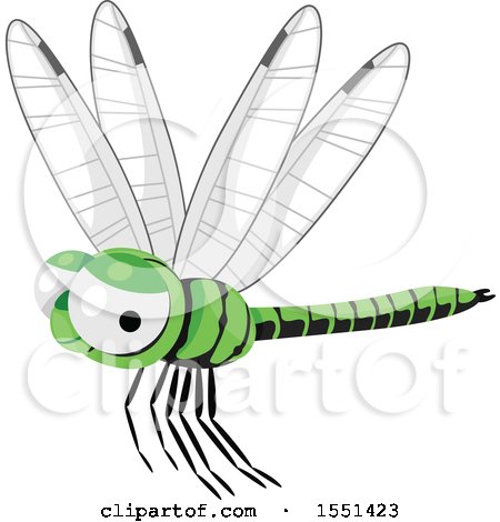 Clipart of a Green Dragonfly - Royalty Free Vector Illustration by BNP Design Studio