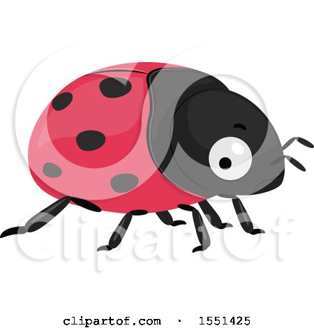 Clipart of a Cute Ladybug - Royalty Free Vector Illustration by BNP Design Studio