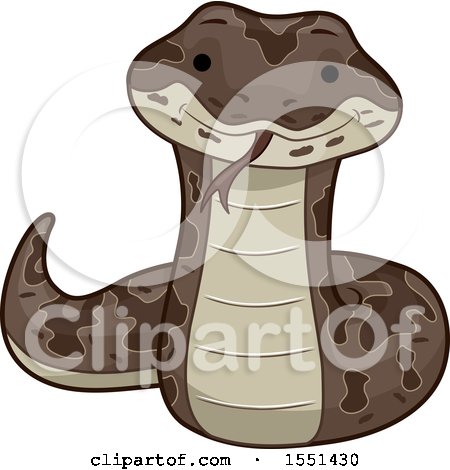 Clipart of a Cute Boa Constrictor Snake - Royalty Free Vector Illustration by BNP Design Studio