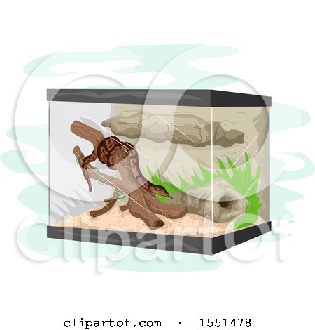 Clipart of a Snake in a Terrarium - Royalty Free Vector Illustration by BNP Design Studio