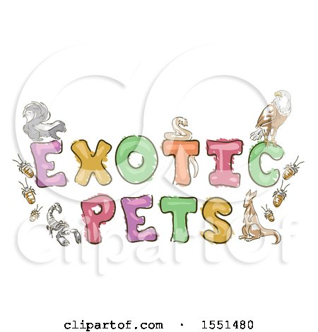 Clipart of a Colorful Exotic Pets Design - Royalty Free Vector Illustration by BNP Design Studio