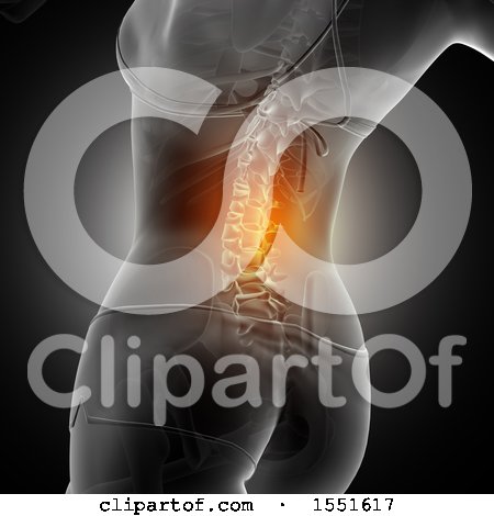 Clipart of a 3d Anatomical Woman with Visible Glowing Spine, on Black - Royalty Free Illustration by KJ Pargeter
