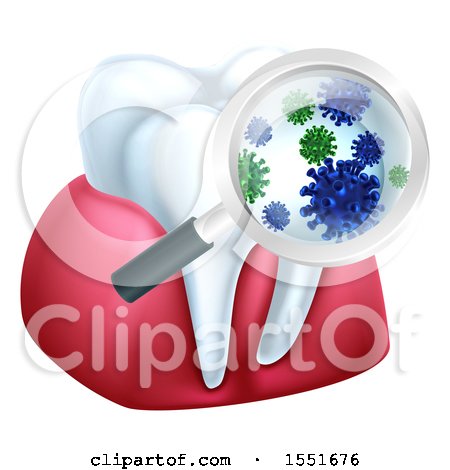 Clipart of a Magnifying Glass over a Tooth and Gums, Displaying Bacteria - Royalty Free Vector Illustration by AtStockIllustration