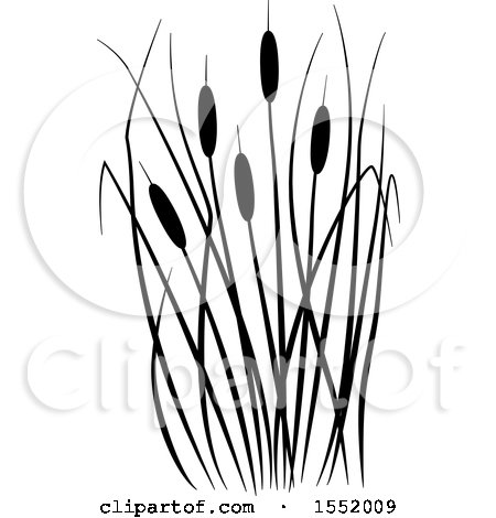 Clipart of a Black and White Cat Tails - Royalty Free Vector Illustration by Cherie Reve