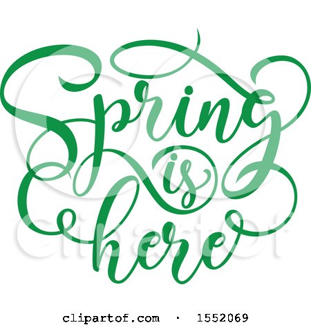 Clipart of a Green Spring Is Here Text Design - Royalty Free Vector Illustration by Vector Tradition SM