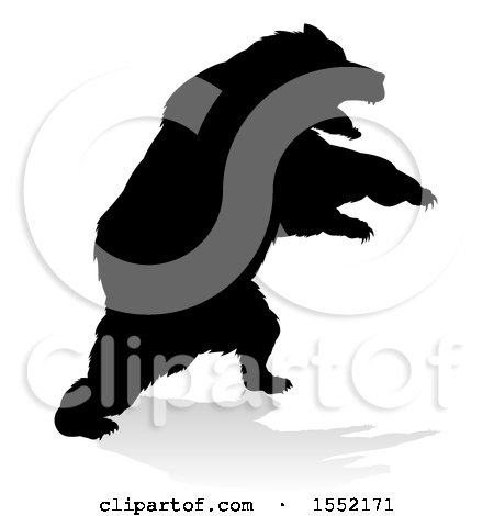 Clipart of a Silhouetted Bear with a Reflection or Shadow, on a White Background - Royalty Free Vector Illustration by AtStockIllustration