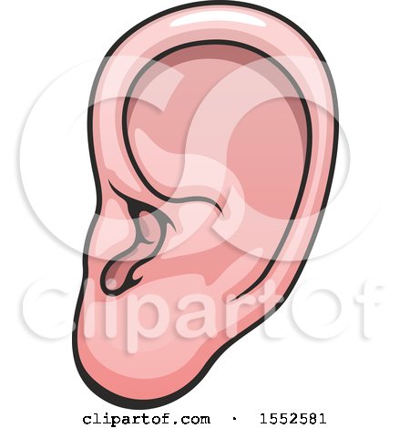 Clipart of an Ear, Human Anatomy - Royalty Free Vector Illustration by Vector Tradition SM