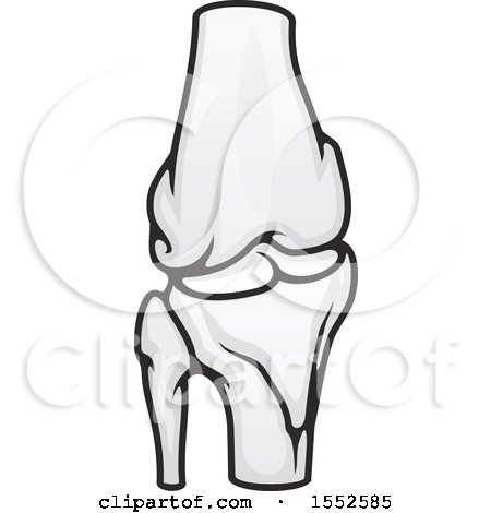 Clipart of a Knee Joint, Human Anatomy - Royalty Free Vector Illustration by Vector Tradition SM