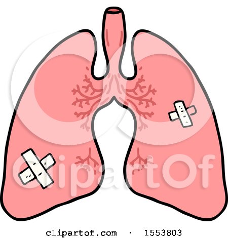 lungs clipart