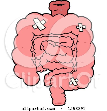 Cartoon Repaired Intestines by lineartestpilot