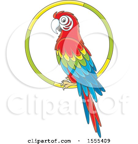 Clipart of a Scarlet Macaw Parrot on a Ring - Royalty Free Vector Illustration by Alex Bannykh