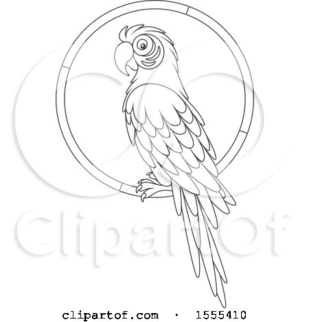 Clipart of a Lineart Macaw Parrot on a Ring - Royalty Free Vector Illustration by Alex Bannykh