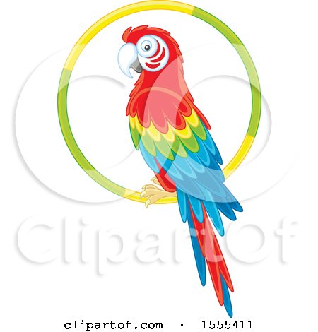 Clipart of a Scarlet Macaw Perched on a Ring - Royalty Free Vector Illustration by Alex Bannykh