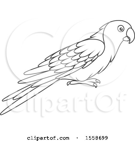 Clipart of a Lineart Parrot - Royalty Free Vector Illustration by Alex Bannykh