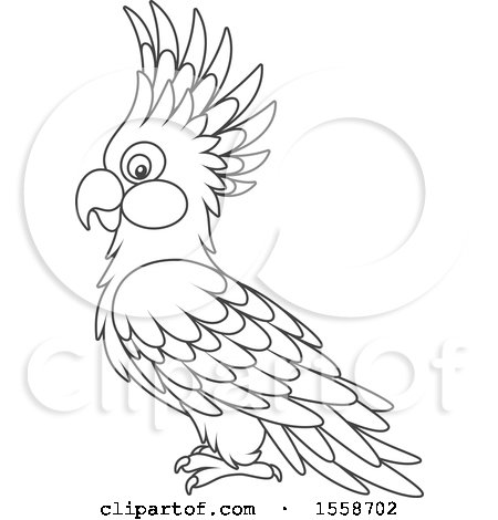 Clipart of a Lineart Cockatoo - Royalty Free Vector Illustration by Alex Bannykh