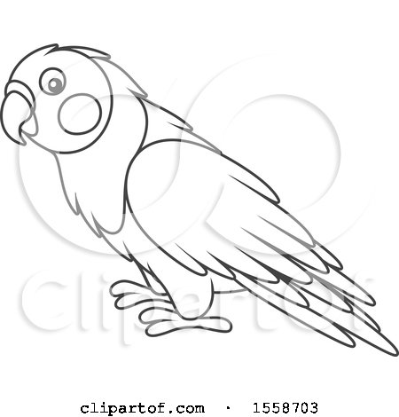 Clipart of a Lineart Lovebird - Royalty Free Vector Illustration by Alex Bannykh